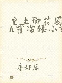 皇上御花园hlh霍冶臻小说