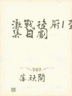 激战后厨1至5集日剧