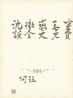 沈微燕王穿越小说全文免费阅读