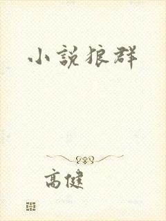 小说狼群