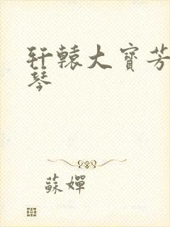 轩辕大宝芳菲雅琴