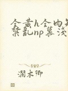 全黄h全肉短篇禁乱np慕浅浅