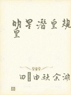 明星潜皇规则之皇