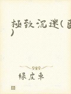 极致沉迷(臣年)