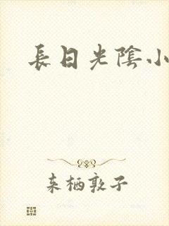 长日光阴小说