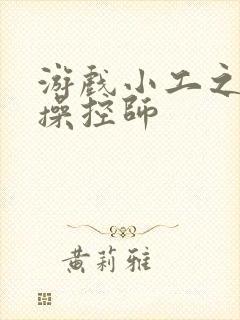 游戏小工之元素操控师