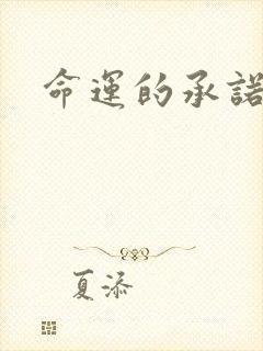 命运的承诺
