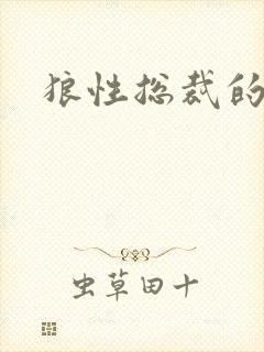 狼性总裁的尤物