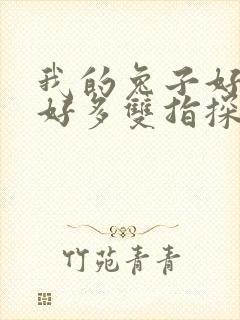 我的兔子好软水好多双指探洞小说