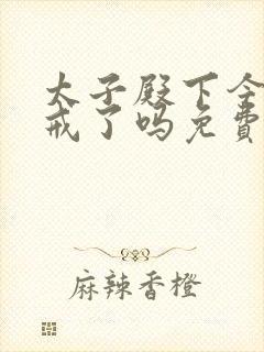 太子殿下今天破戒了吗免费阅读