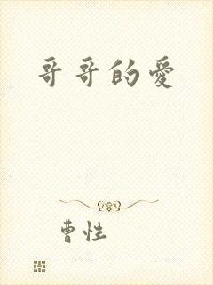 哥哥的爱