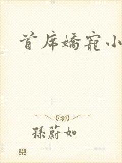 首席娇宠小情人