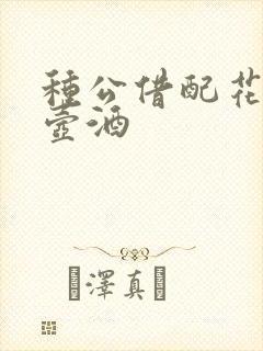 种公借配花间一壶酒