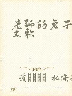 老师的兔子又大又软