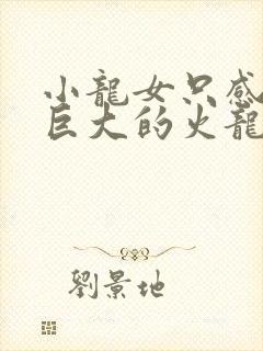 小龙女只感觉那巨大的火龙枪