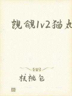 觊觎1v2猫丸