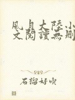 风月大陆小说全文阅读无删减