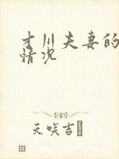 才川夫妻的恋爱情况