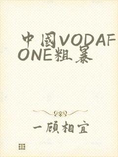 中国VODAFONE粗暴
