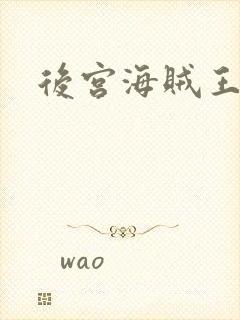 后宫海贼王