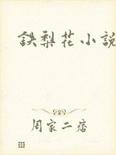铁梨花小说
