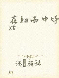 在细雨中呼喊txt