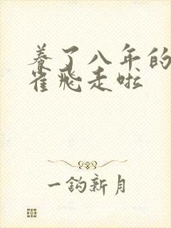 养了八年的金丝雀飞走啦