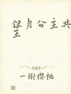 银月公主共享公主