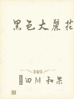 黑色大丽花图片
