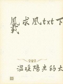 凤求凰txt下载