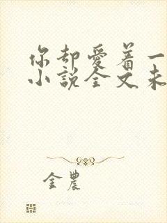 你却爱着一个他小说全文未删减免费