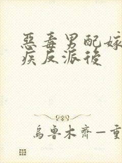 恶毒男配嫁给残疾反派后