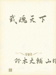 武魂天下