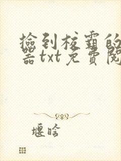 捡到校霸的遥控器txt免费阅读by阳阳