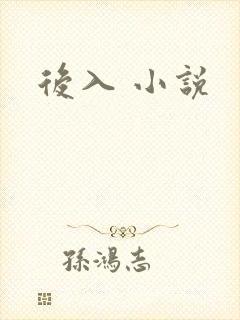 后入 小说