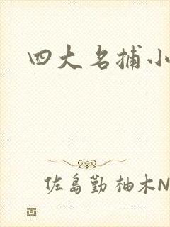 四大名捕小说