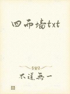 四面墙txt