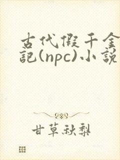 古代假千金挨日记(npc)小说