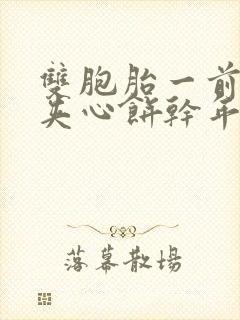 双胞胎一前一后夹心饼干年下