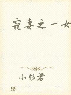 宠妻之一女二夫