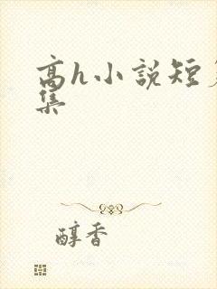 高h小说短篇合集