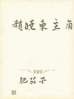 赵晓东主角小说