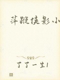 萍踪侠影小说