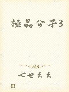 极品公子3