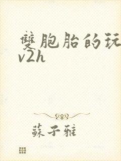 双胞胎的玩具1v2h