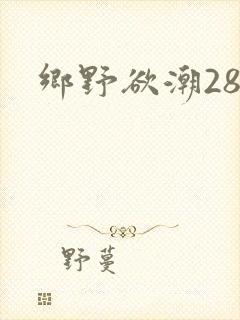 乡野欲潮28章