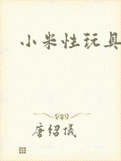 小米性玩具日记