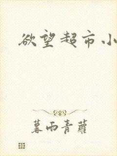 欲望超市小说