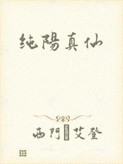 纯阳真仙