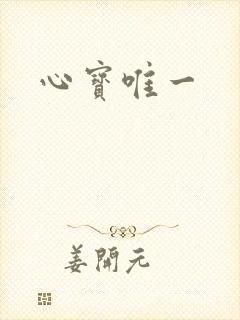 心宝唯一